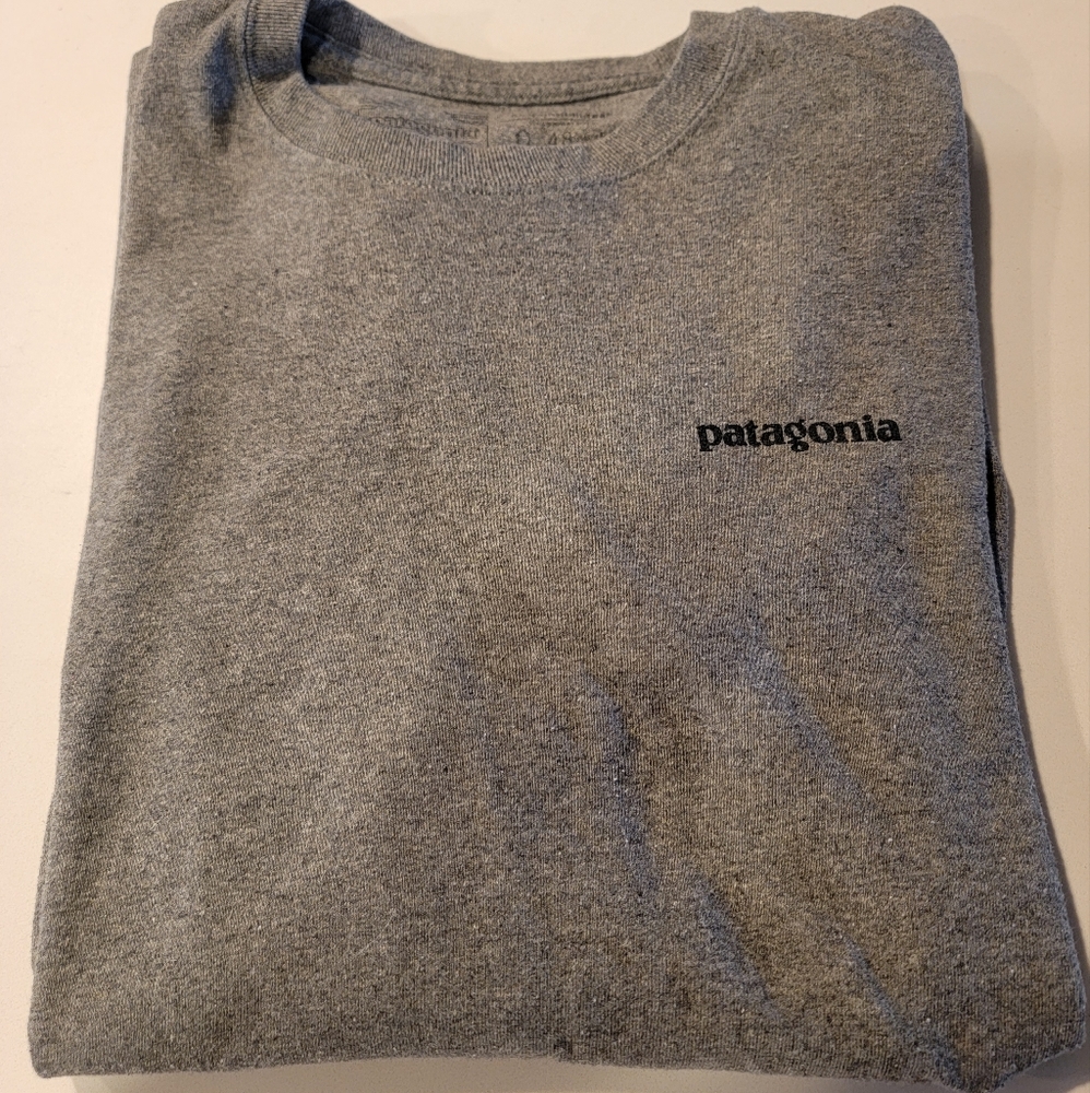 Patagonia long sleeve shirt